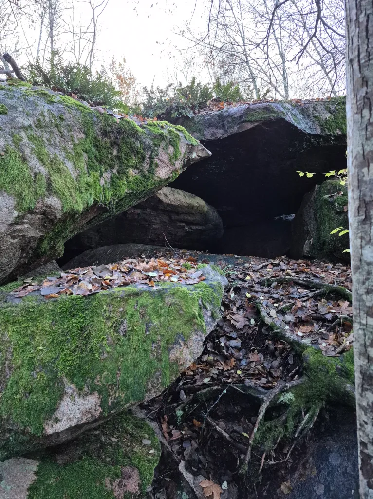 En bild på öppningen till en grotta.