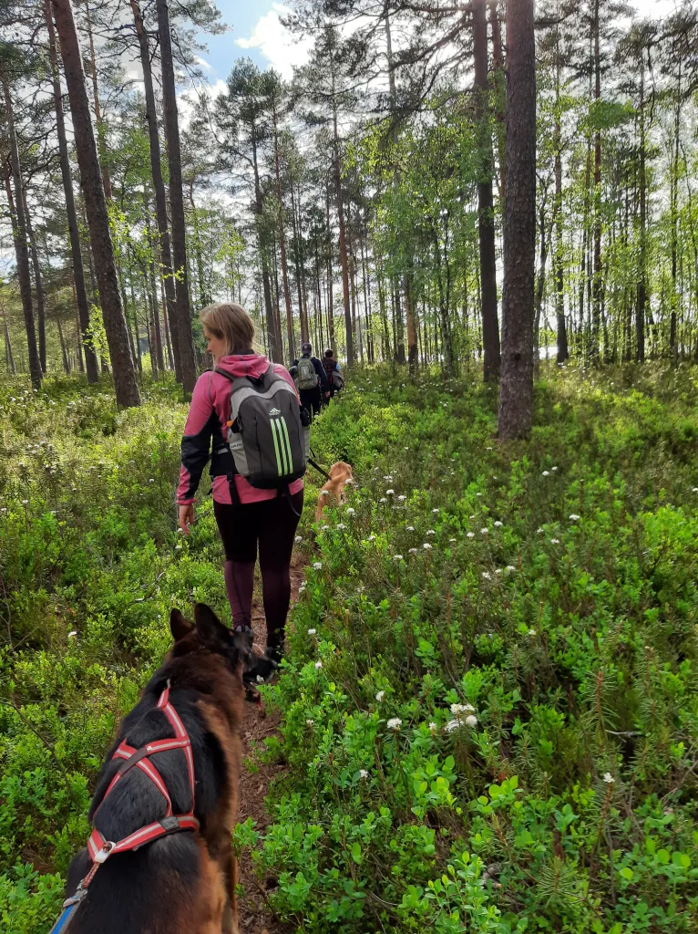 En kvinna och en hund som går genom skogen.